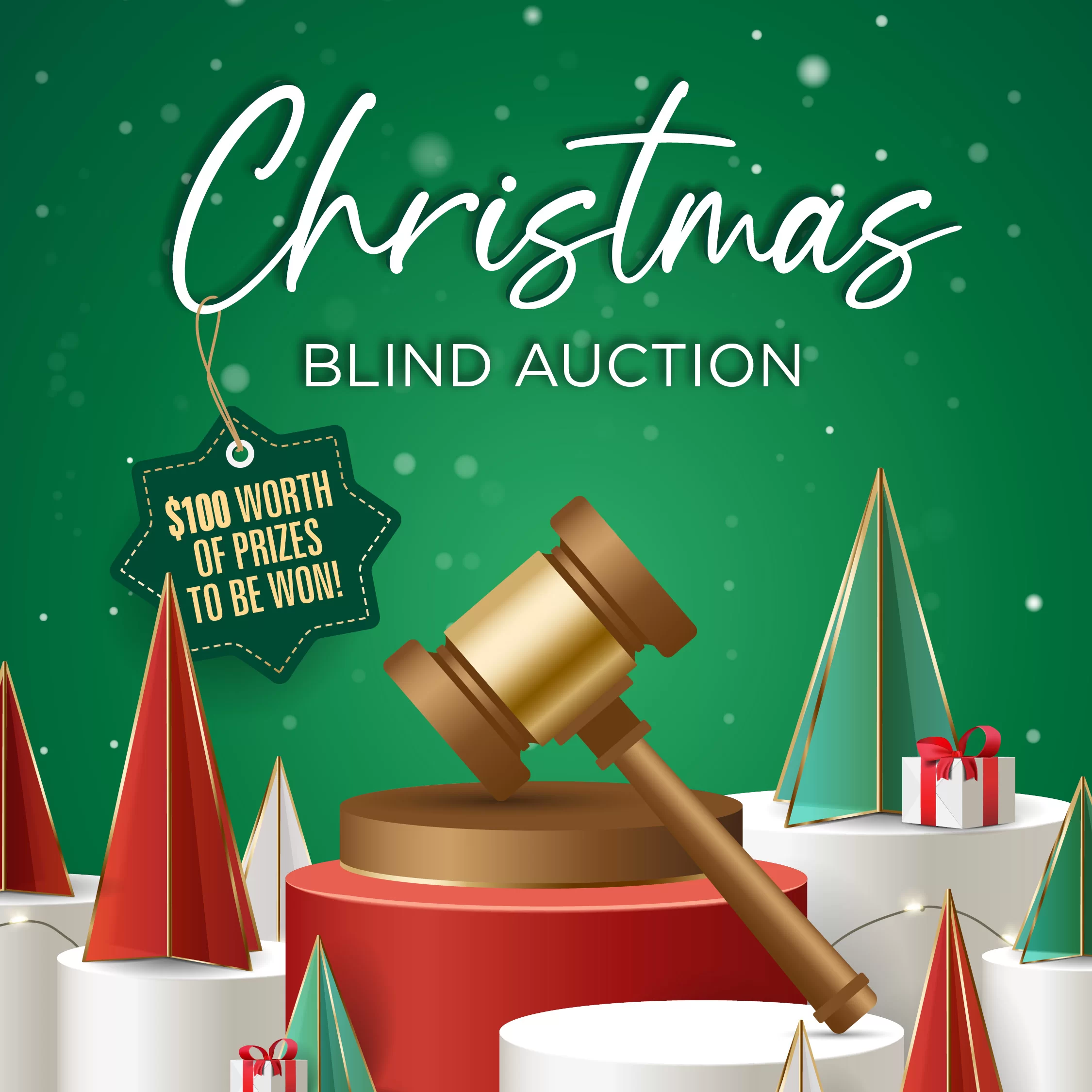 Ingenia Gardens Activate Christmas Blind Auction - Dec