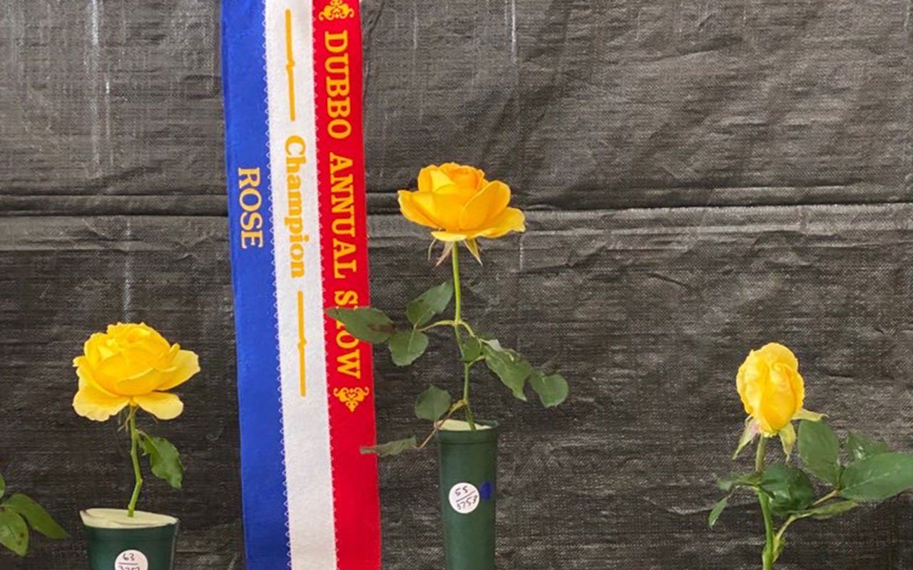Ingenia Gardens Dubbo wins Champion prize at the Dubbo Annual Show 2022